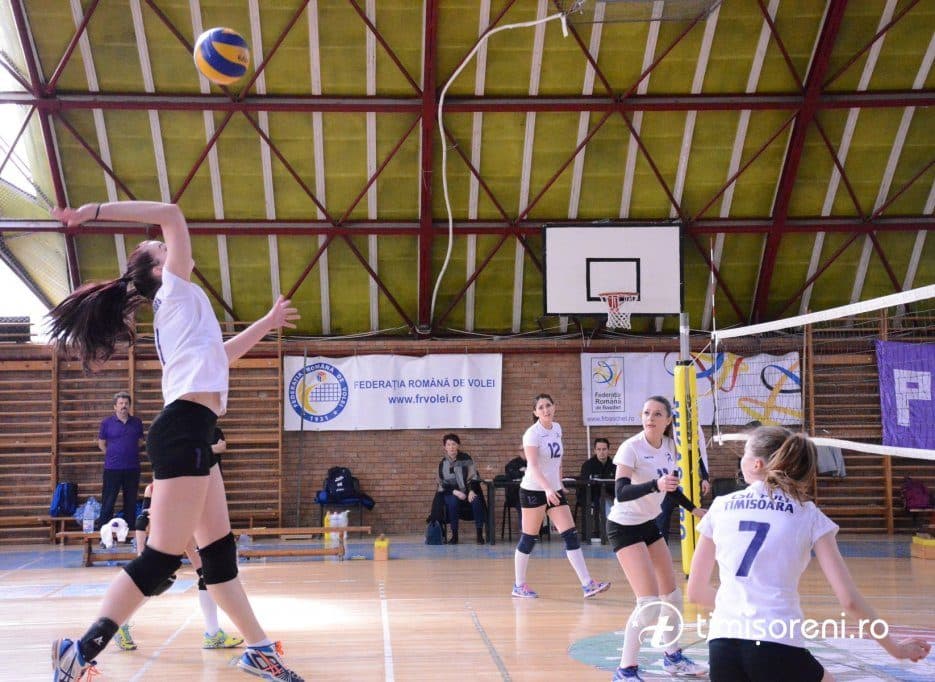 volei