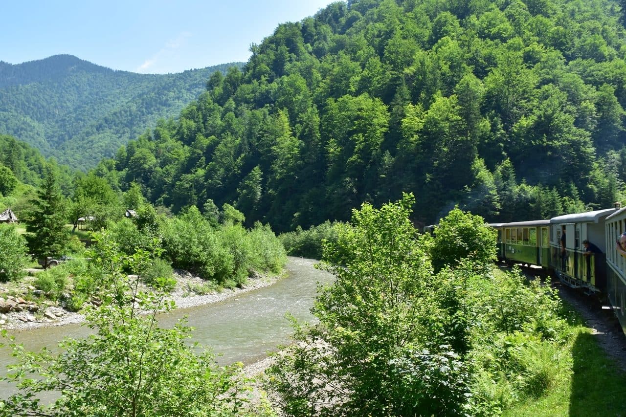 Mocanita - Viseu de Sus - Maramures 11