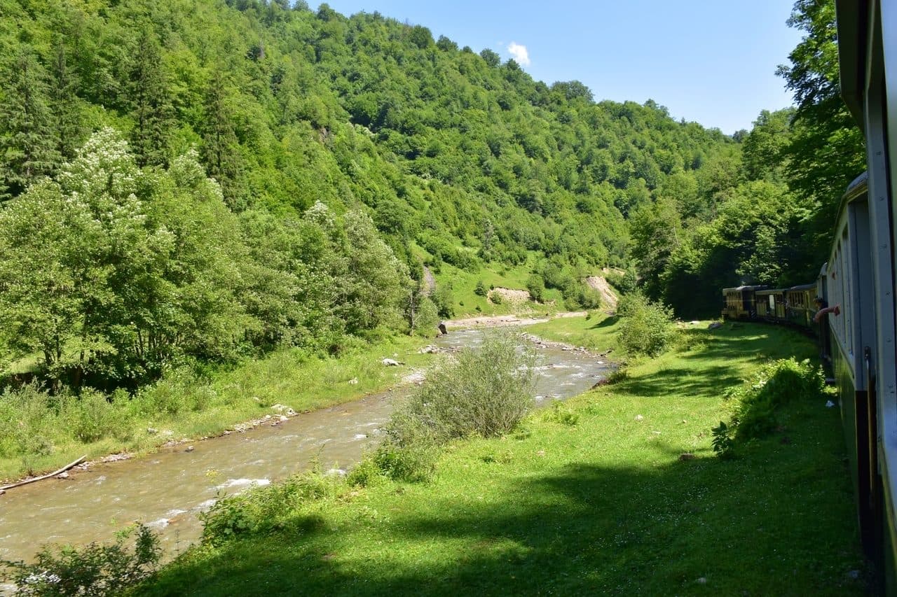 Mocanita - Viseu de Sus - Maramures 13