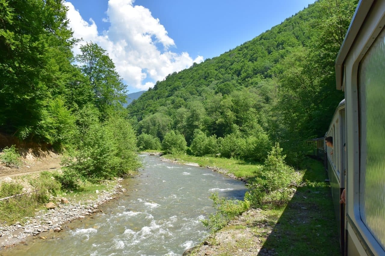 Mocanita - Viseu de Sus - Maramures 15