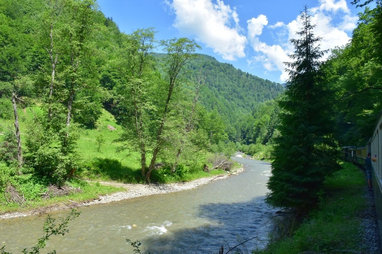 Mocanita - Viseu de Sus - Maramures 18