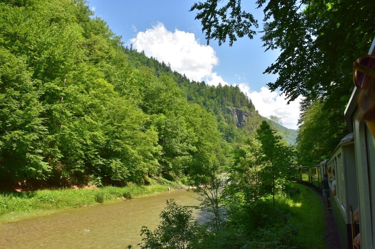 Mocanita - Viseu de Sus - Maramures 19