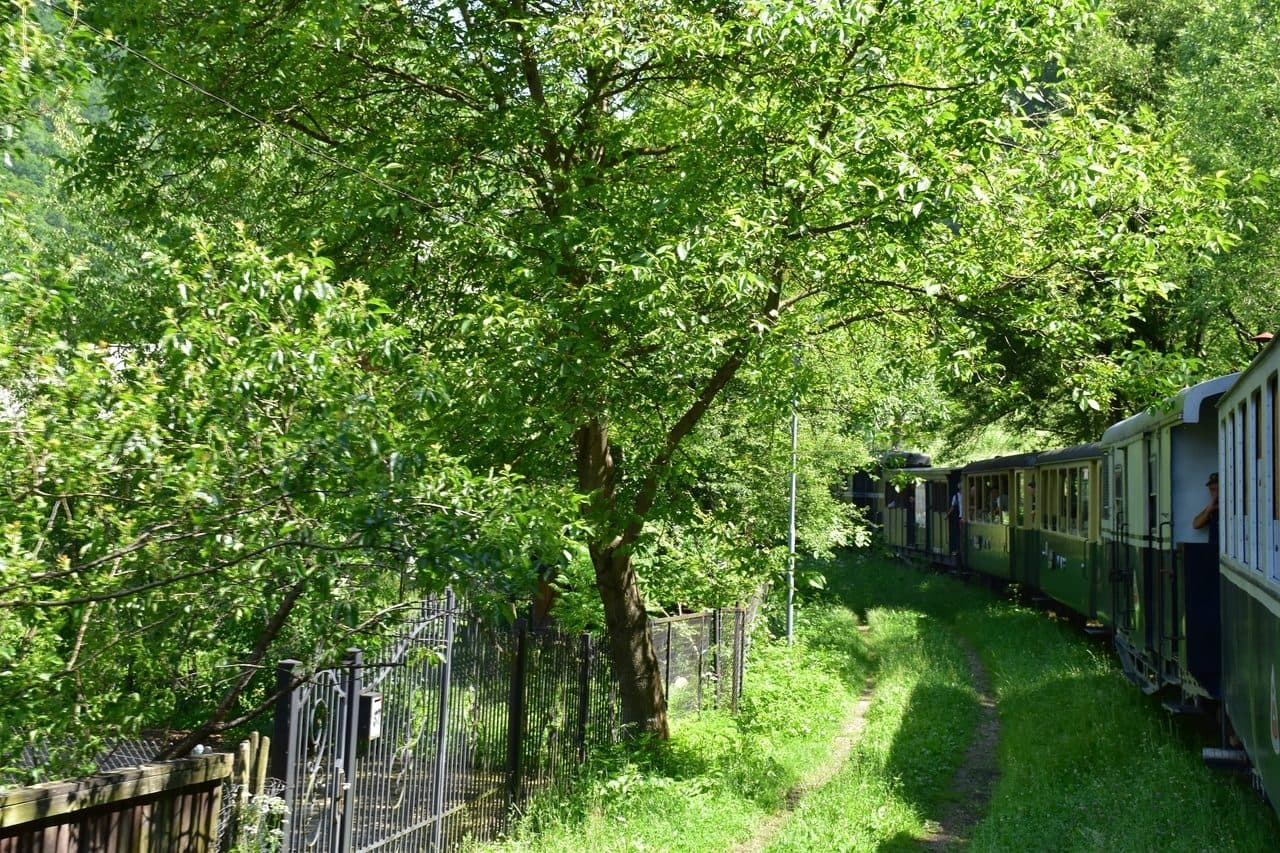 Mocanita - Viseu de Sus - Maramures 2