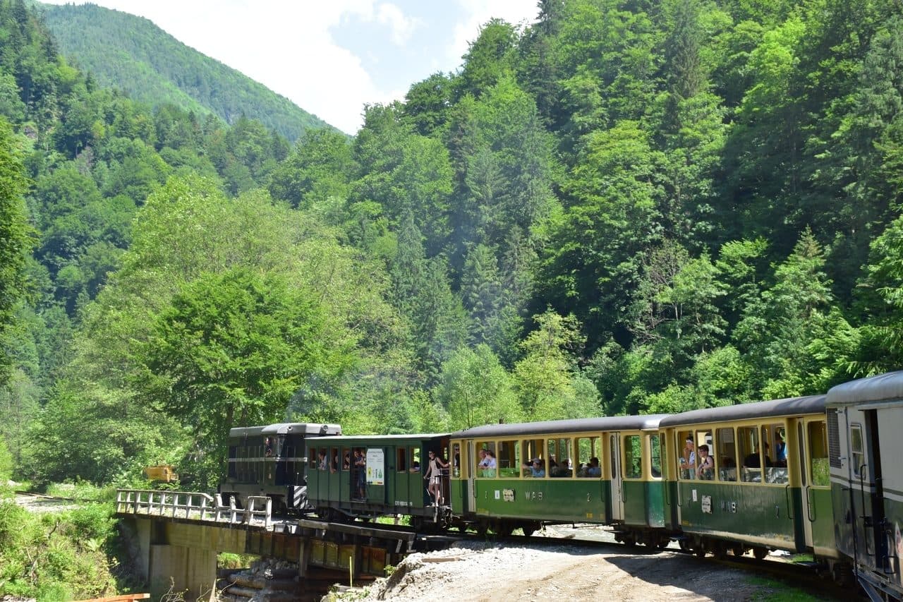 Mocanita - Viseu de Sus - Maramures 20