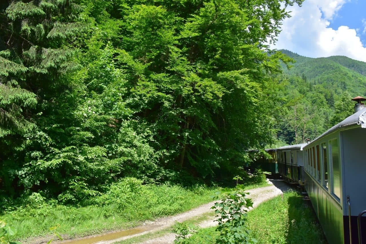 Mocanita - Viseu de Sus - Maramures 21