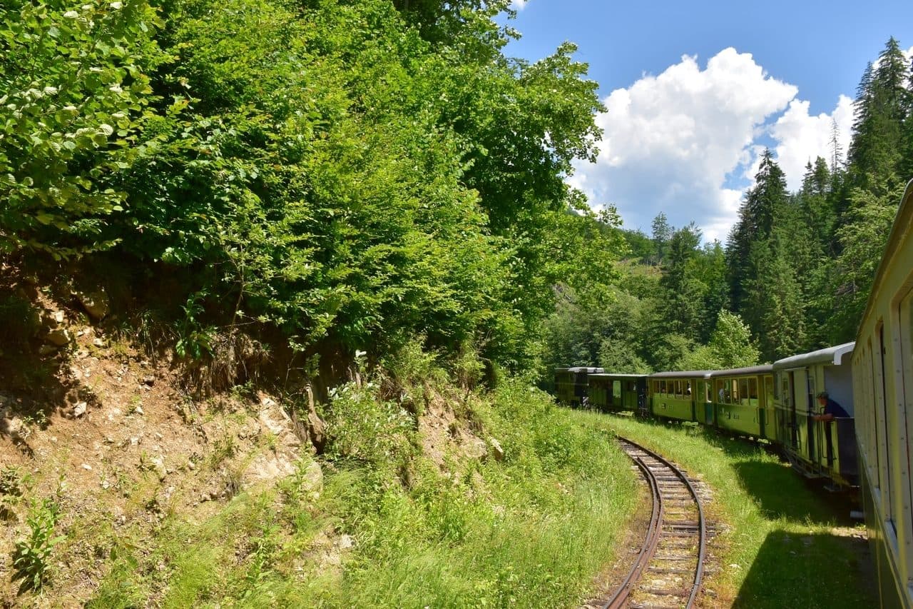 Mocanita - Viseu de Sus - Maramures 22