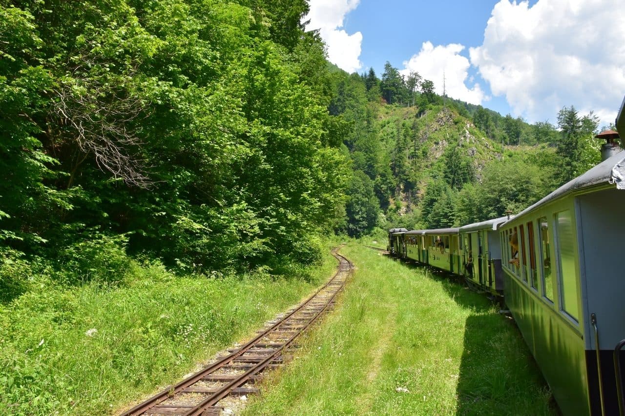 Mocanita - Viseu de Sus - Maramures 28
