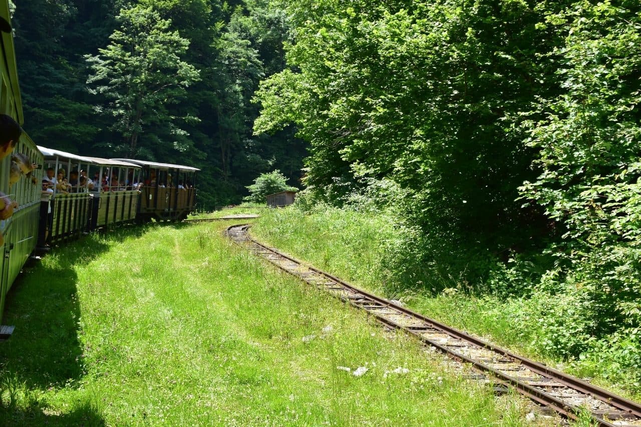 Mocanita - Viseu de Sus - Maramures 29
