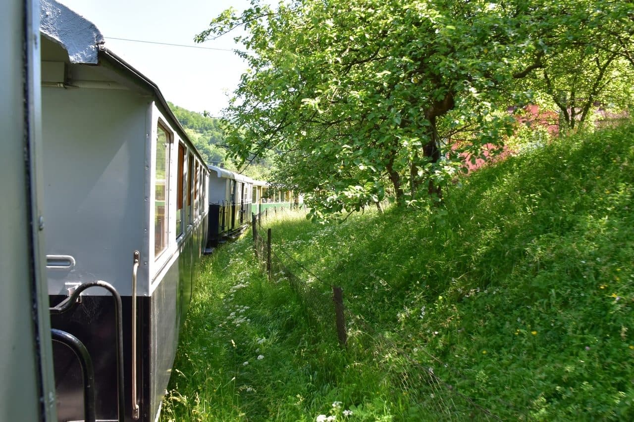 Mocanita - Viseu de Sus - Maramures 3