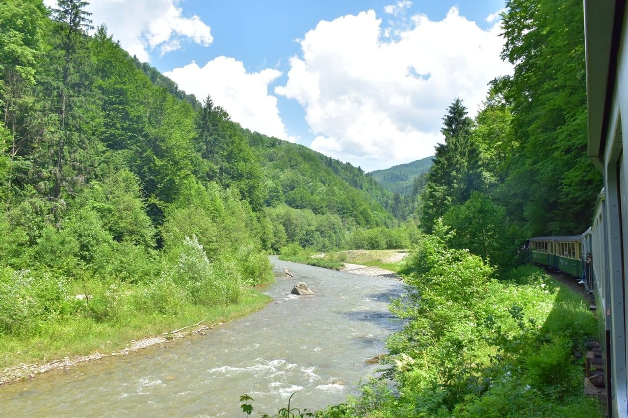Mocanita - Viseu de Sus - Maramures 30