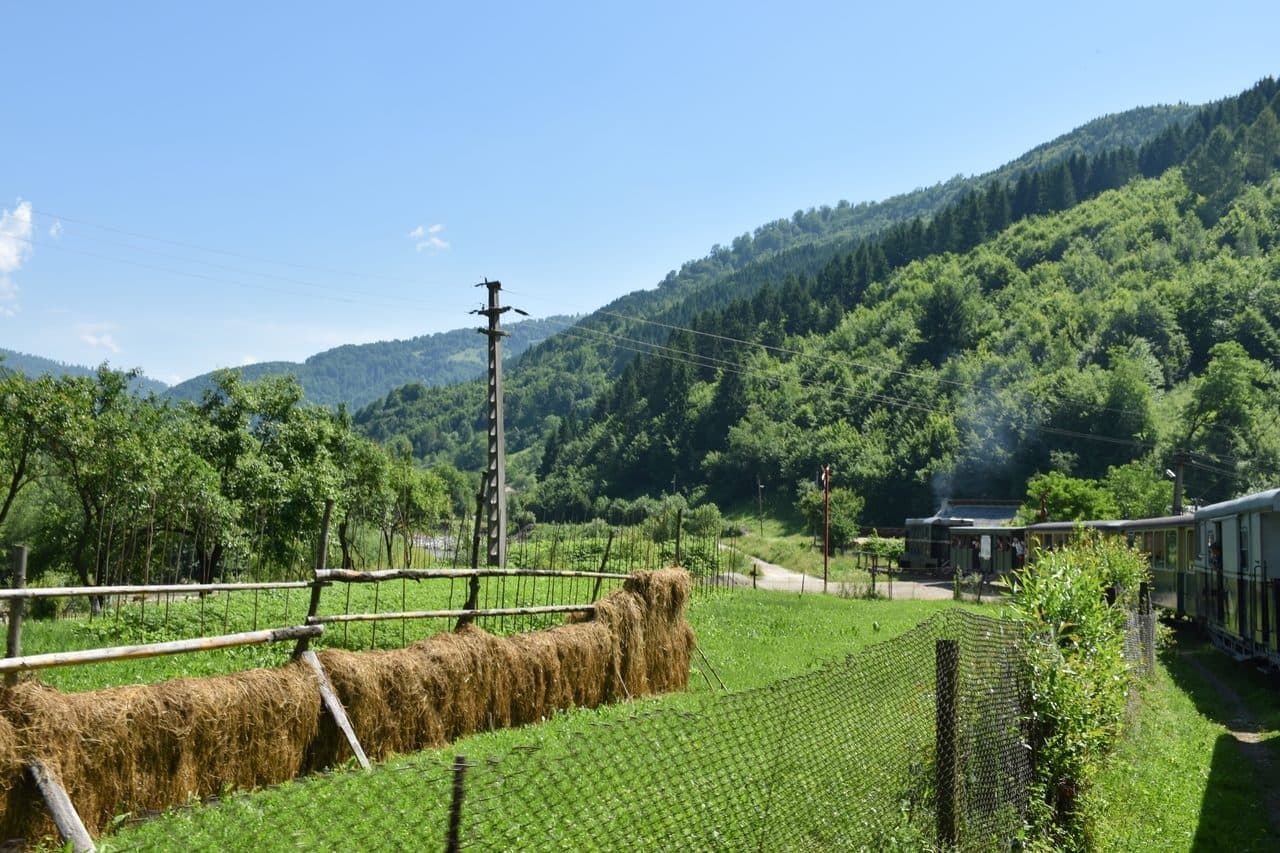 Mocanita - Viseu de Sus - Maramures 4