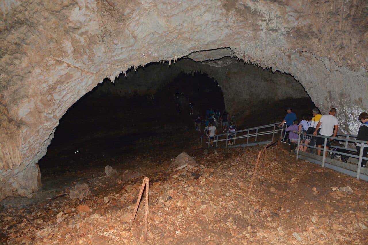Pestera Meziad 69