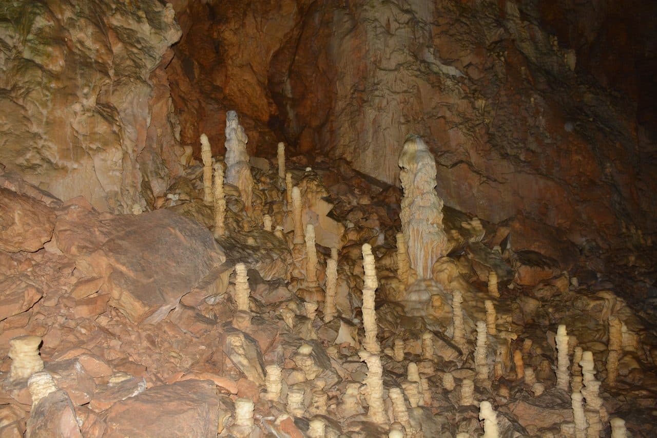 Pestera Ursilor 12