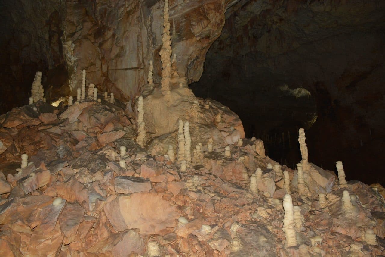 Pestera Ursilor 16