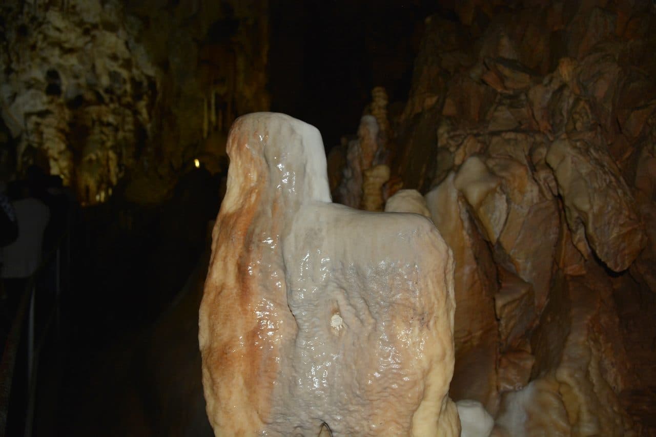Pestera Ursilor 17