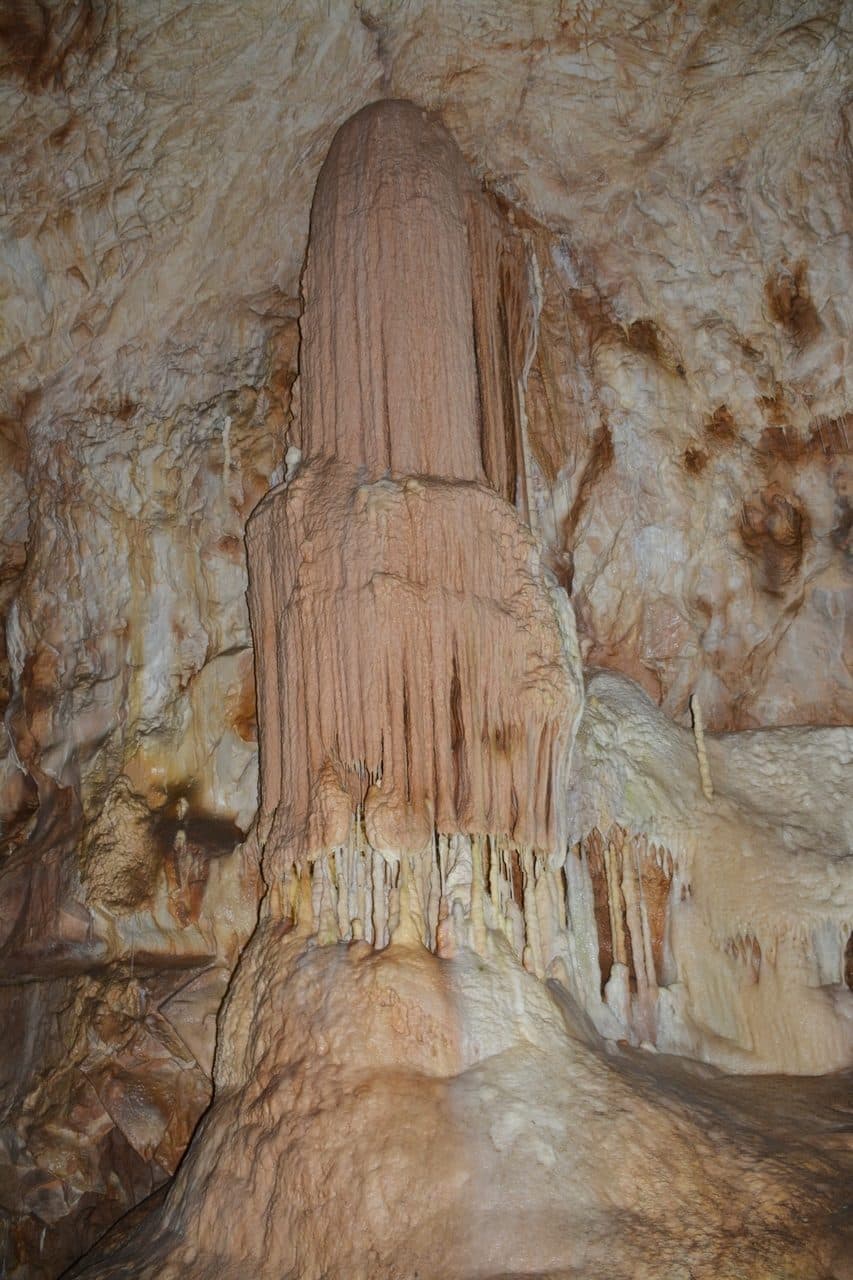 Pestera Ursilor 24