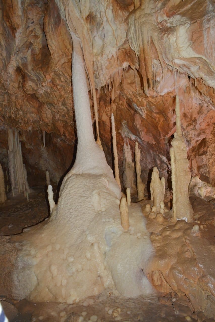 Pestera Ursilor 27