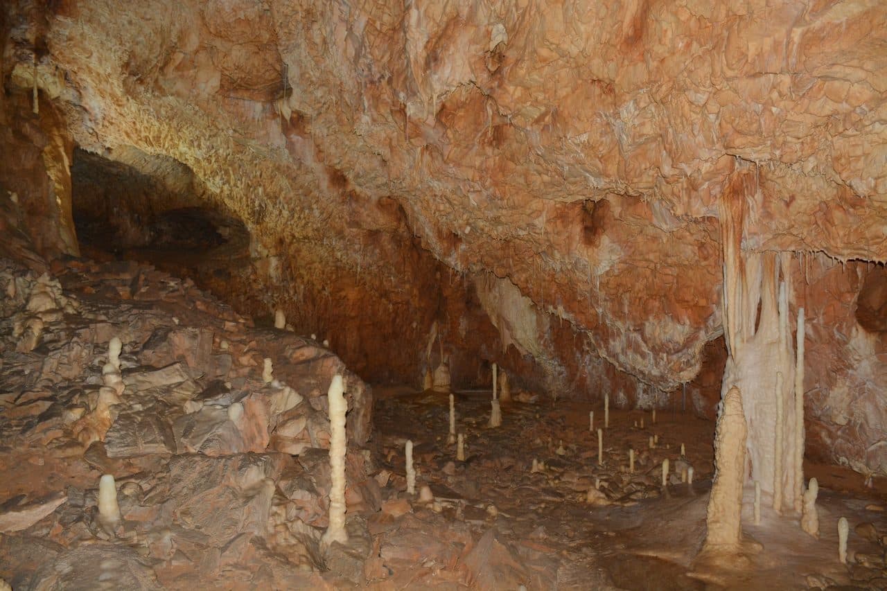 Pestera Ursilor 28