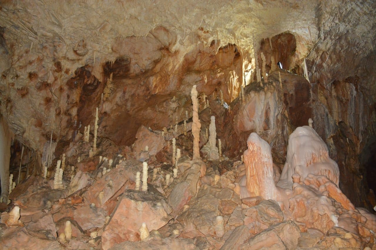 Pestera Ursilor 38
