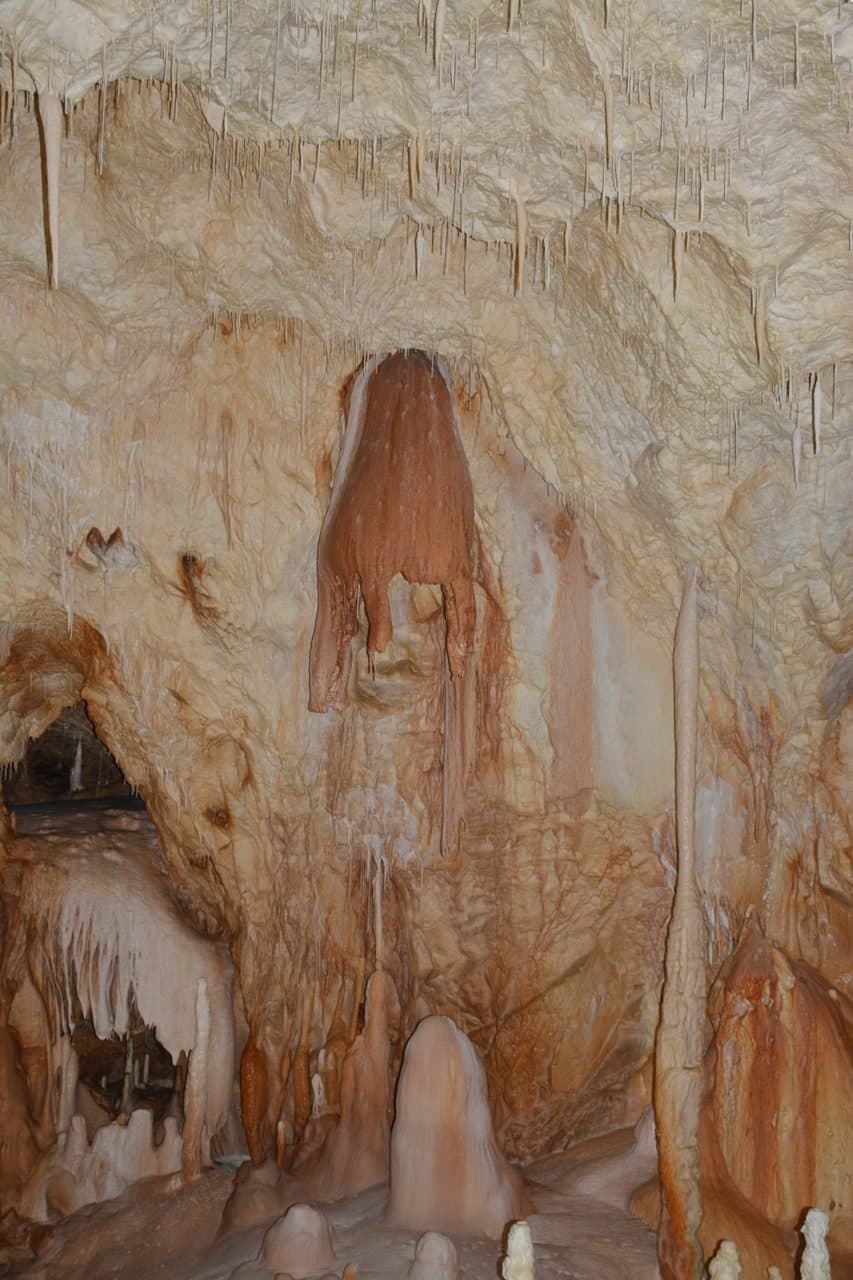 Pestera Ursilor 47