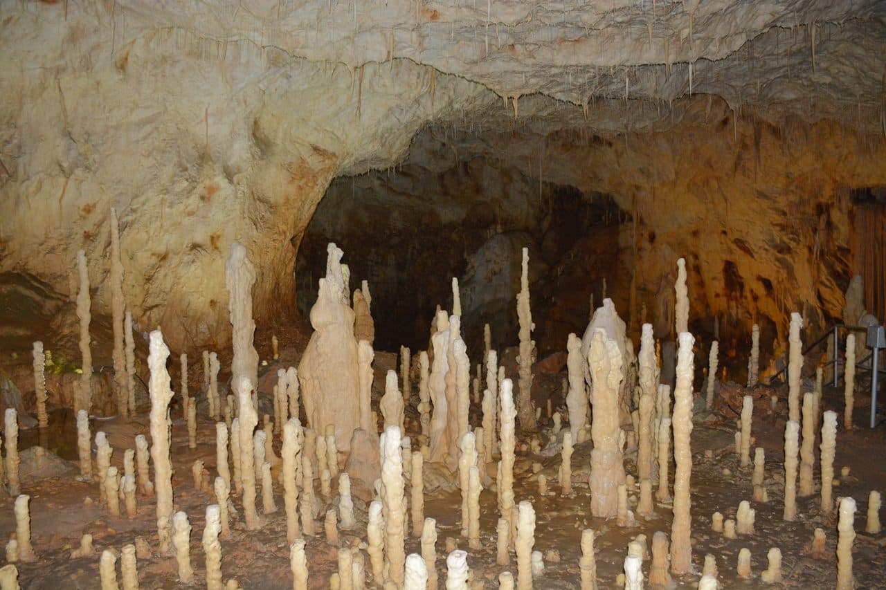 Pestera Ursilor 49