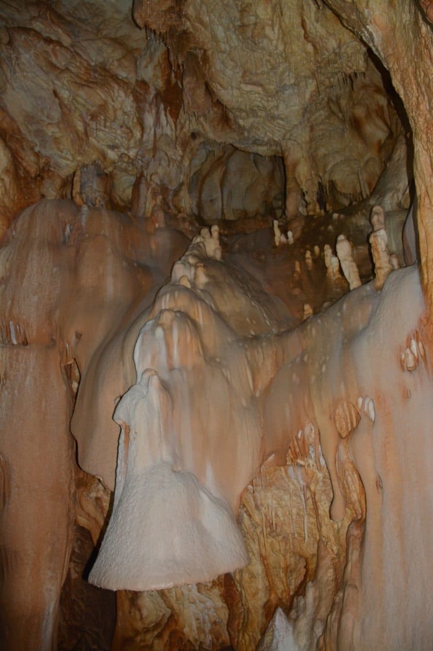 Pestera Ursilor 6